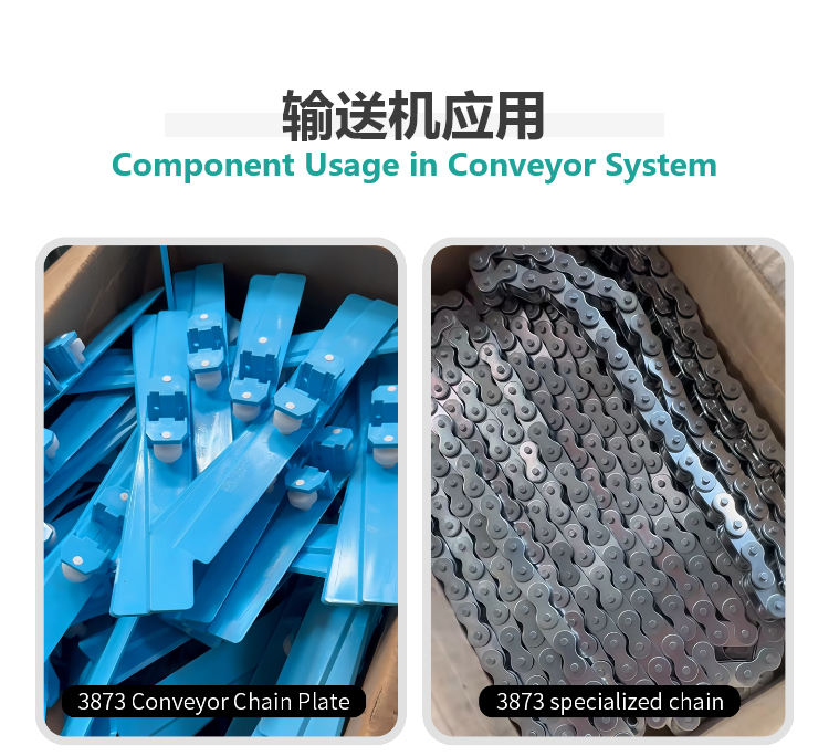 School cafeteria tray conveyor line School cafeteria tray conveyor line