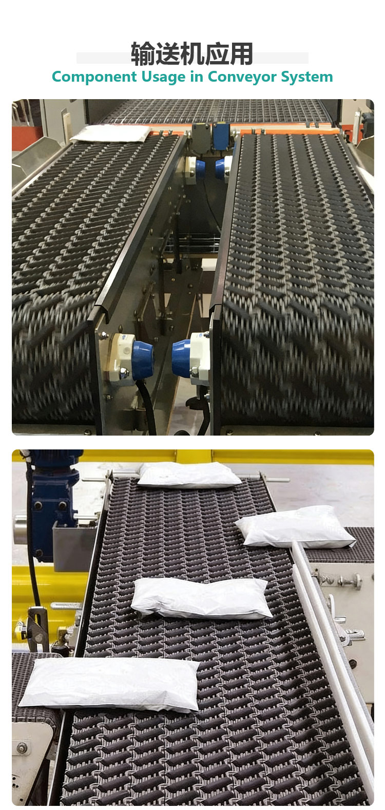 mesh belt sorting system mesh belt sorting system
