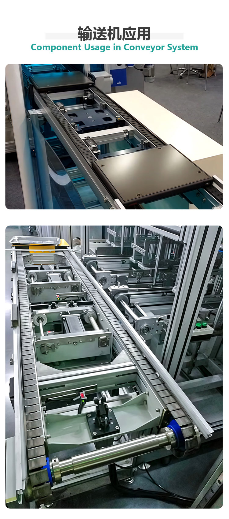 beverage bottle conveyor beverage bottle conveyor