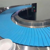 3873 Dinner Plate Conveying Line